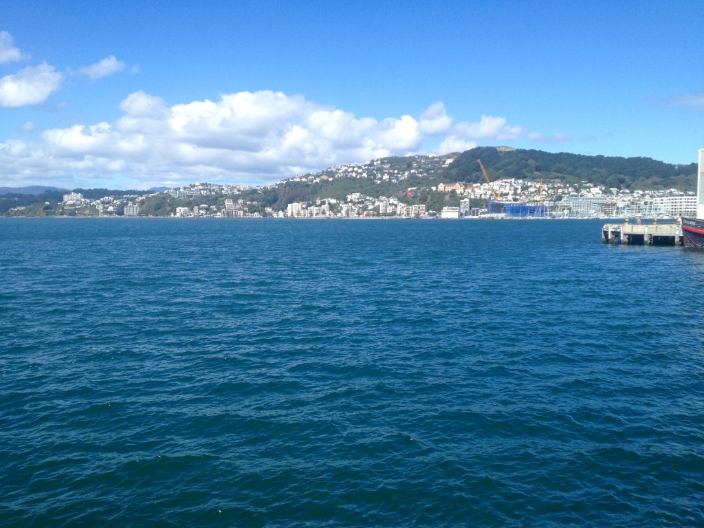 Meanwhile in New Zealand...