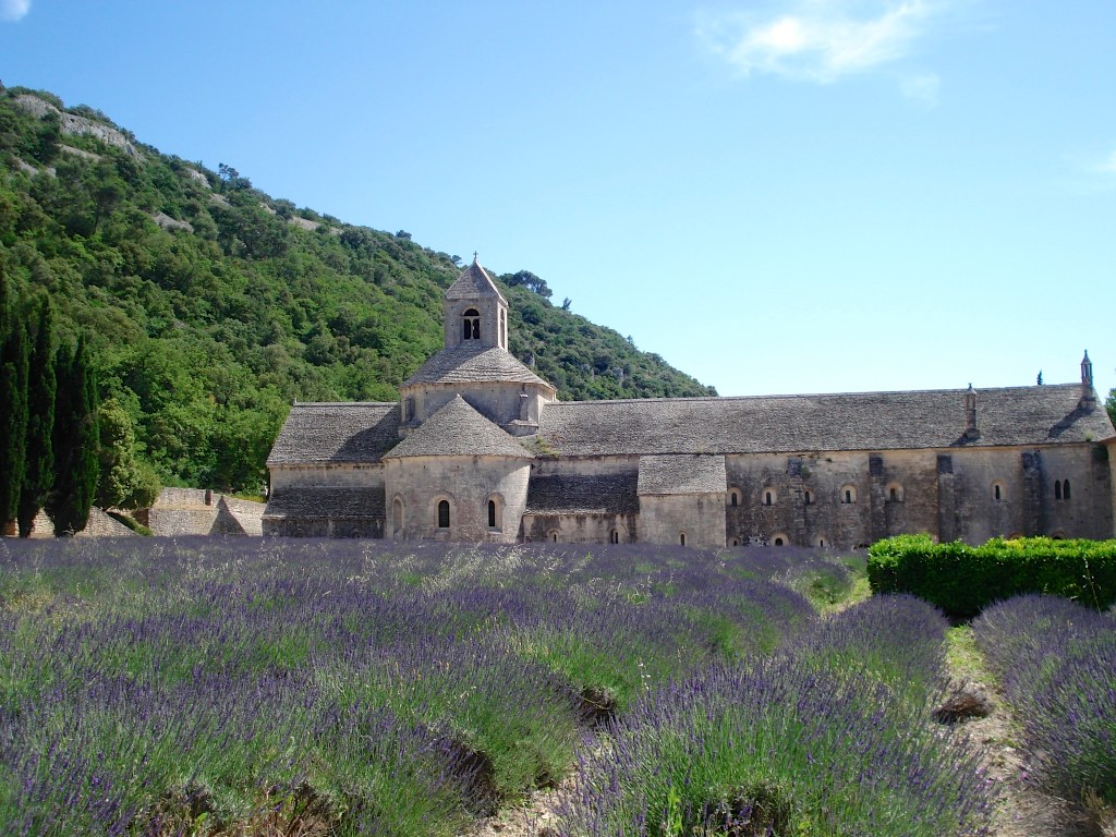 Field of lavender in Provence, summer of 2007