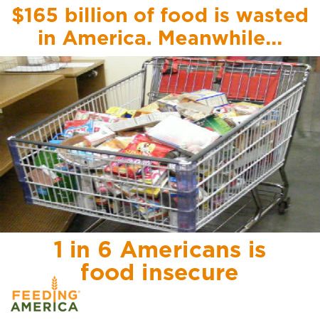 a4edf36b00391f6b1e4f55c3e6a8e307